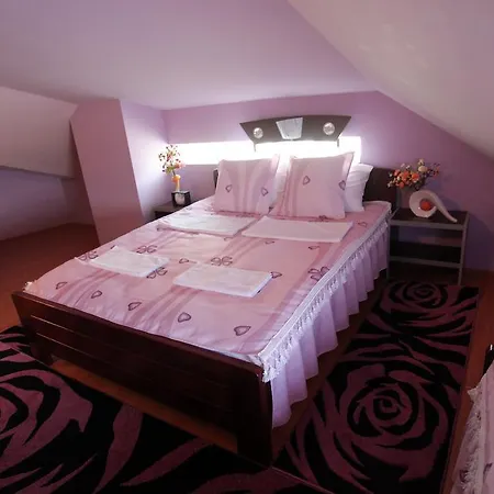 Guest house Atina *